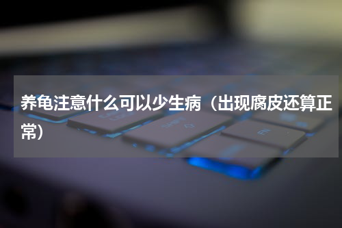 养龟注意什么可以少生病（出现腐皮还算正常）
