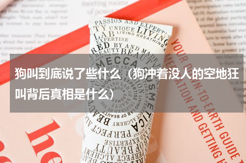 狗叫到底说了些什么（狗冲着没人的空地狂叫背后真相是什么）