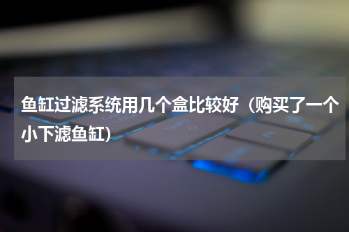 鱼缸过滤系统用几个盒比较好（购买了一个小下滤鱼缸）