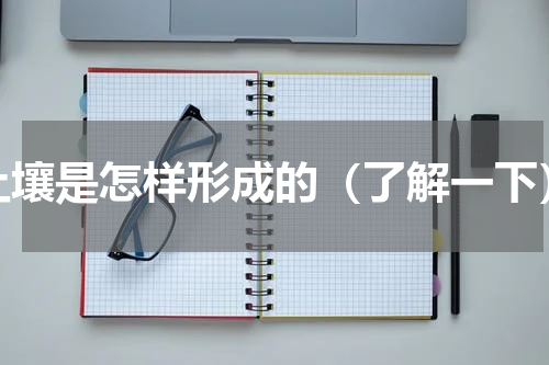 土壤是怎样形成的（了解一下）