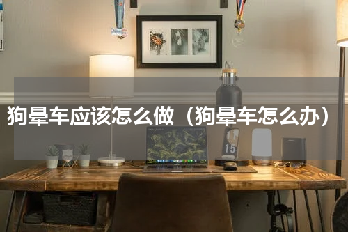 狗晕车应该怎么做（狗晕车怎么办）