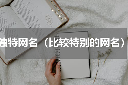 独特网名（比较特别的网名）