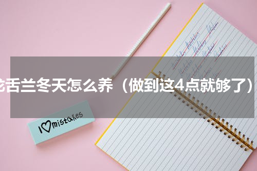龙舌兰冬天怎么养（做到这4点就够了）