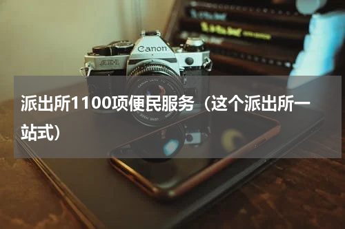 派出所1100项便民服务（这个派出所一站式）