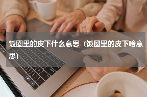 饭圈里的皮下什么意思（饭圈里的皮下啥意思）