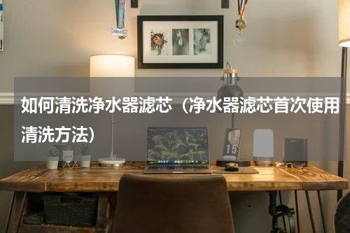 如何清洗净水器滤芯（净水器滤芯首次使用清洗方法）