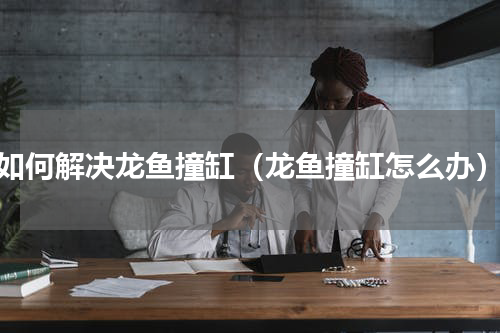 如何解决龙鱼撞缸（龙鱼撞缸怎么办）