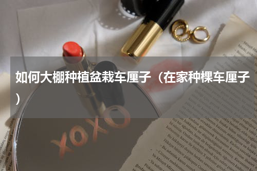 如何大棚种植盆栽车厘子（在家种棵车厘子）