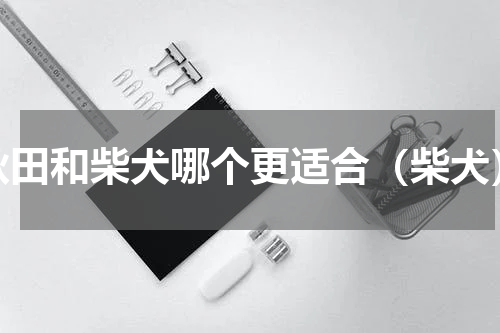秋田和柴犬哪个更适合（柴犬）