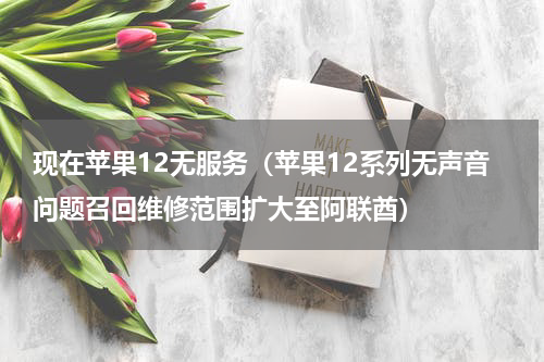 现在苹果12无服务（苹果12系列无声音问题召回维修范围扩大至阿联酋）