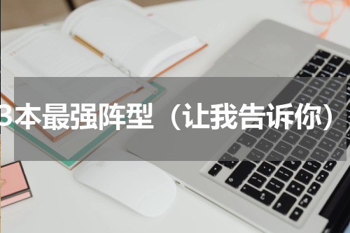 13本最强阵型（让我告诉你）