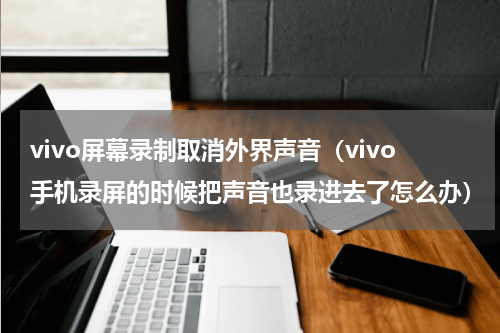 vivo屏幕录制取消外界声音（vivo手机录屏的时候把声音也录进去了怎么办）
