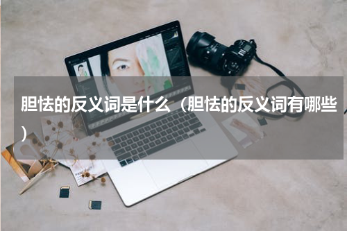 胆怯的反义词是什么（胆怯的反义词有哪些）