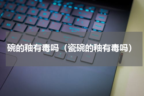 碗的釉有毒吗（瓷碗的釉有毒吗）