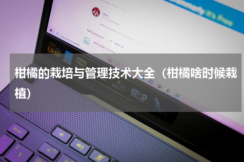 柑橘的栽培与管理技术大全（柑橘啥时候栽植）