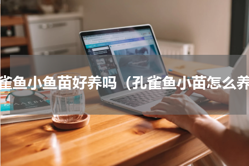 孔雀鱼小鱼苗好养吗（孔雀鱼小苗怎么养）