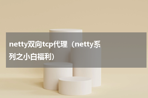 netty双向tcp代理（netty系列之小白福利）