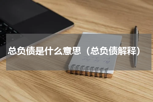 总负债是什么意思（总负债解释）