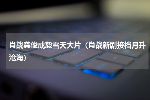 肖战龚俊成毅雪天大片（肖战新剧接档月升沧海）
