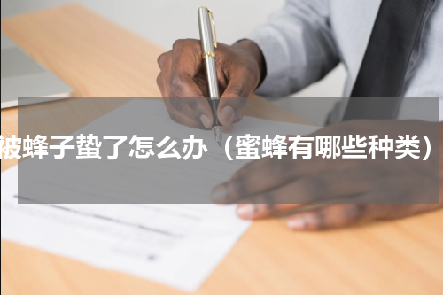 被蜂子蛰了怎么办（蜜蜂有哪些种类）