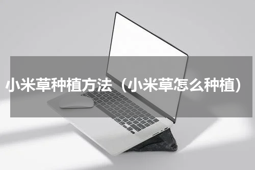 小米草种植方法（小米草怎么种植）