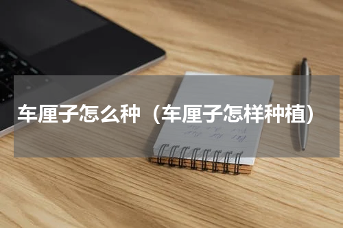 车厘子怎么种（车厘子怎样种植）