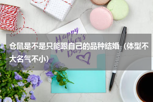 仓鼠是不是只能跟自己的品种结婚（体型不大名气不小）