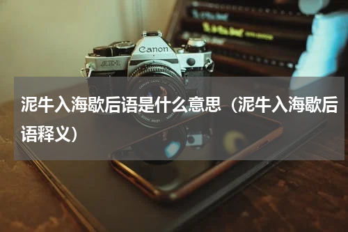 泥牛入海歇后语是什么意思（泥牛入海歇后语释义）