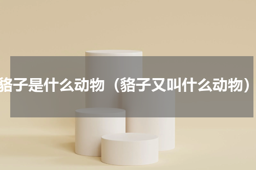 貉子是什么动物（貉子又叫什么动物）