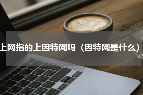 上网指的上因特网吗（因特网是什么）