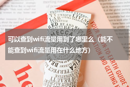 可以查到wifi流量用到了哪里么（能不能查到wifi流量用在什么地方）