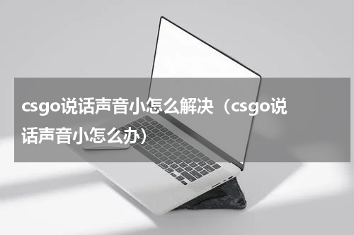 csgo说话声音小怎么解决（csgo说话声音小怎么办）