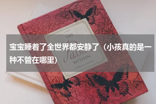 宝宝睡着了全世界都安静了（小孩真的是一种不管在哪里）