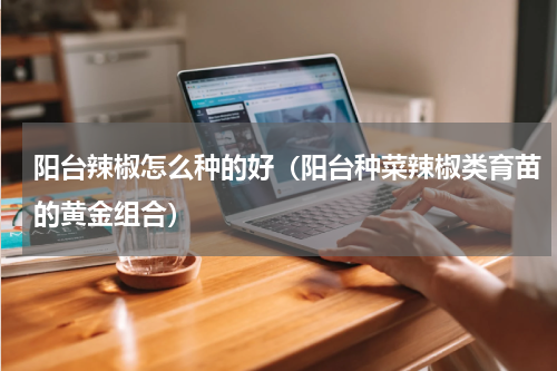 阳台辣椒怎么种的好（阳台种菜辣椒类育苗的黄金组合）