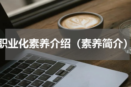 职业化素养介绍（素养简介）