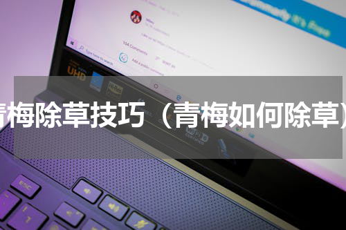 青梅除草技巧（青梅如何除草）