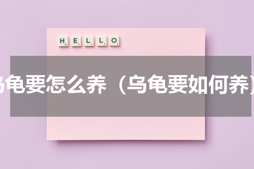乌龟要怎么养（乌龟要如何养）