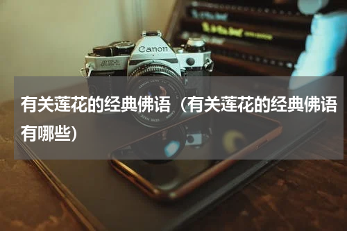 有关莲花的经典佛语（有关莲花的经典佛语有哪些）