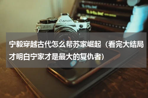 宁毅穿越古代怎么帮苏家崛起（看完大结局才明白宁家才是最大的复仇者）
