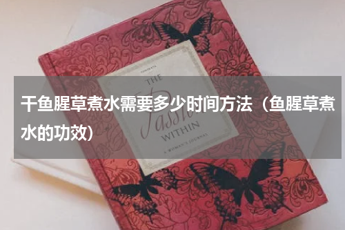 干鱼腥草煮水需要多少时间方法（鱼腥草煮水的功效）