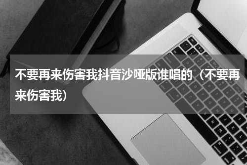 不要再来伤害我抖音沙哑版谁唱的（不要再来伤害我）