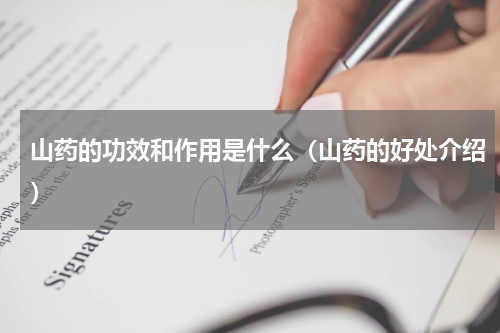 山药的功效和作用是什么（山药的好处介绍）