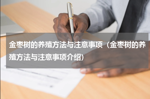 金枣树的养殖方法与注意事项（金枣树的养殖方法与注意事项介绍）