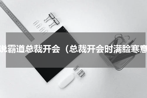 小说霸道总裁开会（总裁开会时满脸寒意）