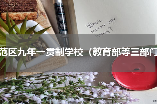 示范区九年一贯制学校（教育部等三部门）