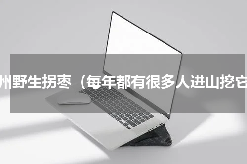 贵州野生拐枣（每年都有很多人进山挖它）
