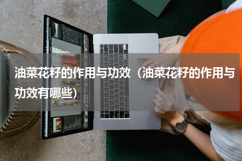 油菜花籽的作用与功效（油菜花籽的作用与功效有哪些）