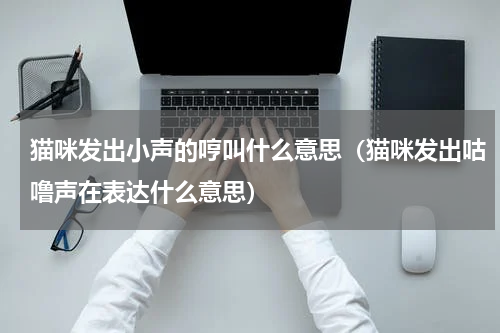 猫咪发出小声的哼叫什么意思（猫咪发出咕噜声在表达什么意思）
