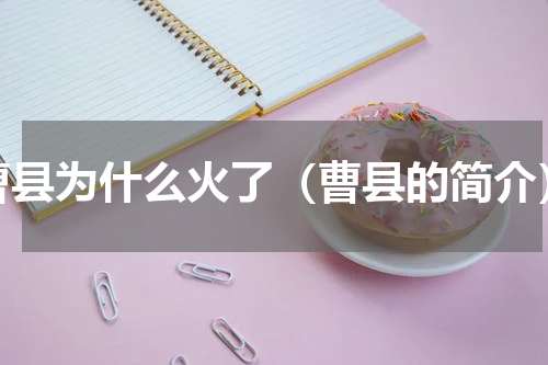 曹县为什么火了（曹县的简介）