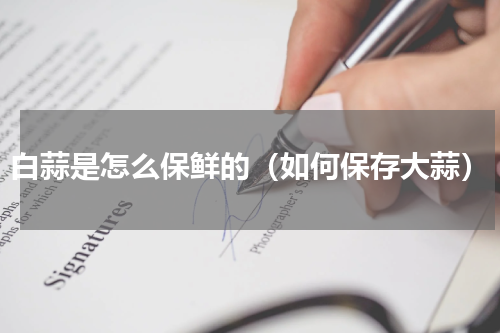 白蒜是怎么保鲜的（如何保存大蒜）